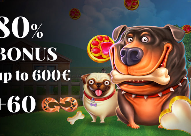 Windetta Bonus Code 80% + 60 FS September 10/09/2023